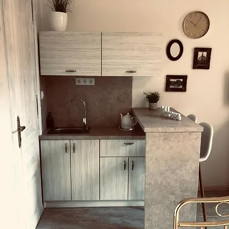 Tomas Silver アパート カルロヴィ・ヴァリ