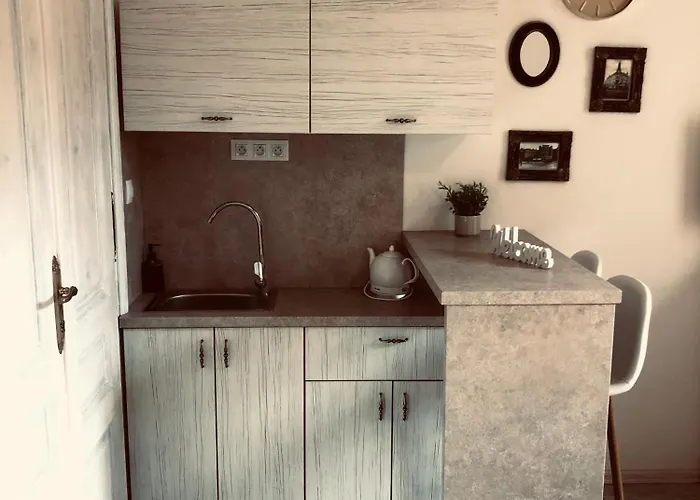 Tomas Silver Appartement Karlovy Vary